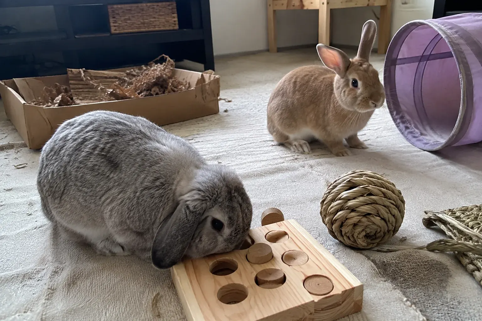 best rabbit toys